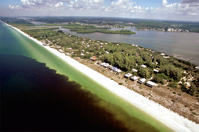 Red tide on the Gulf Coast of Florida (image credit: NOAA)