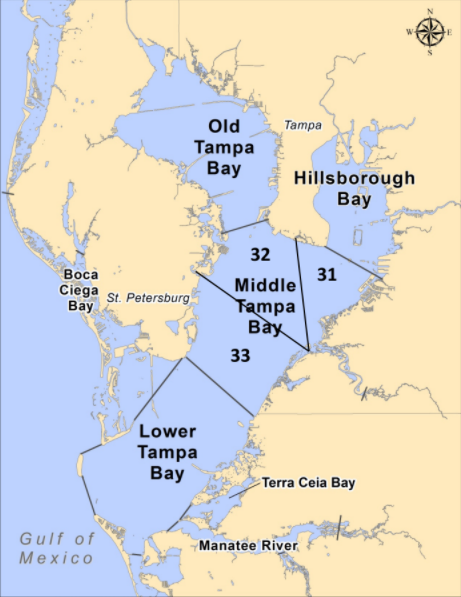 Major bay segments in Tampa Bay used to assign load estimates. The Remainder of Lower Tampa Bay includes the Manatee River, Terra Ceia Bay, and Boca Ciega Bay. Figure courtesy of Janicki Environmental, Inc.